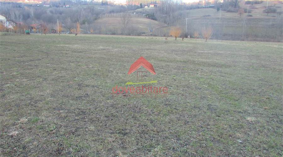 immagine generica terreno campione