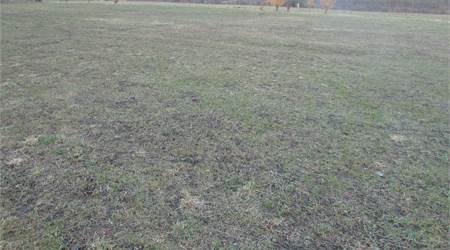 Pinerolo– Lotto Terreno edificabile z residenziale